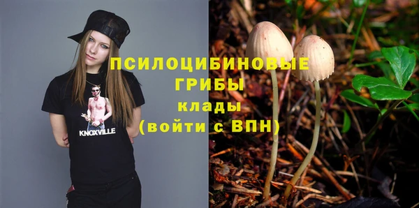 ешки Алексеевка